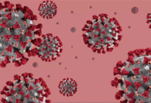 Koronavirus poznamenal i ceny nemovitostí. Jak se budou vyvíjet v nejbližším období?